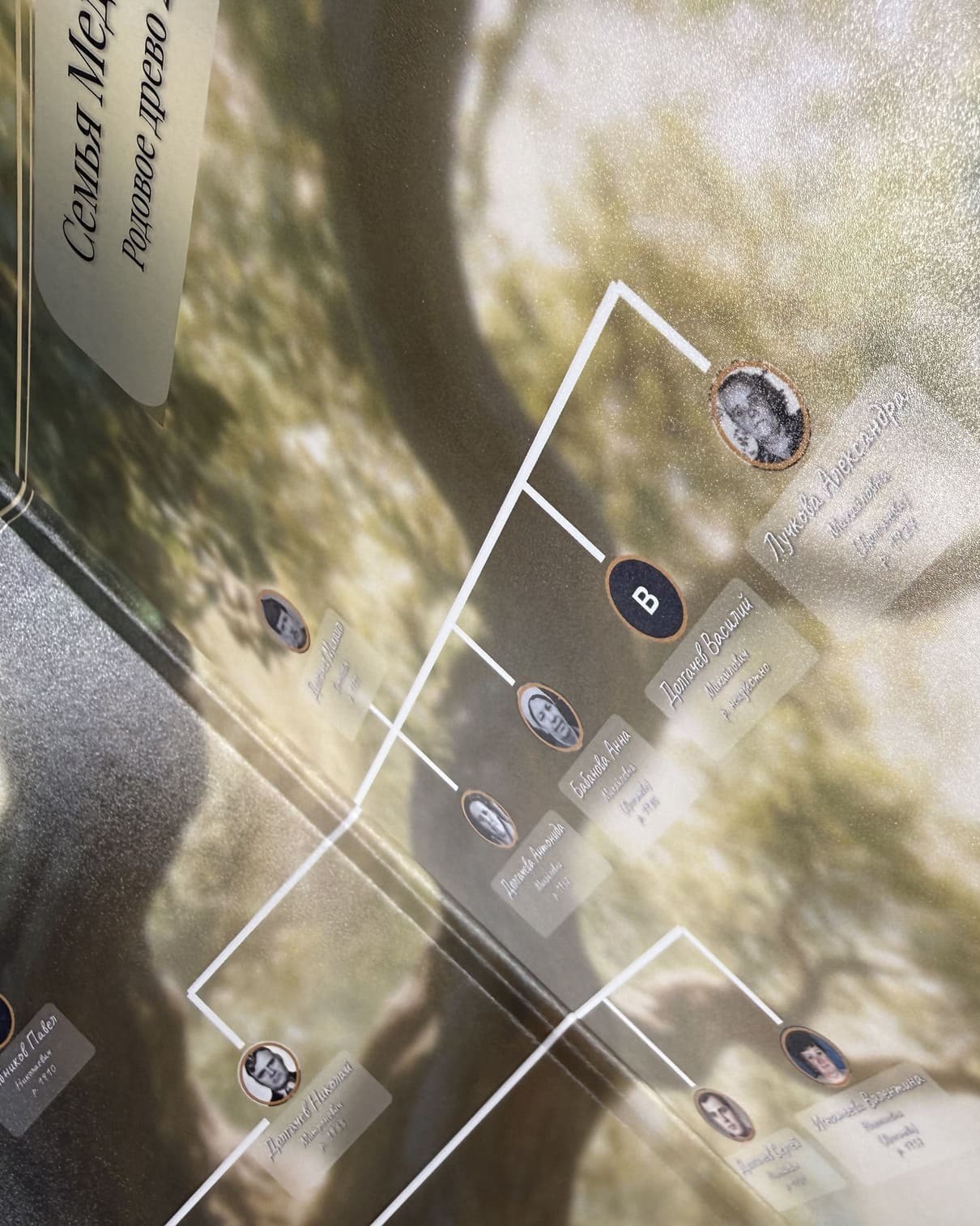 Семейное трюмо с родословной — вид 3